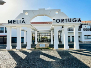 Tortuga 444